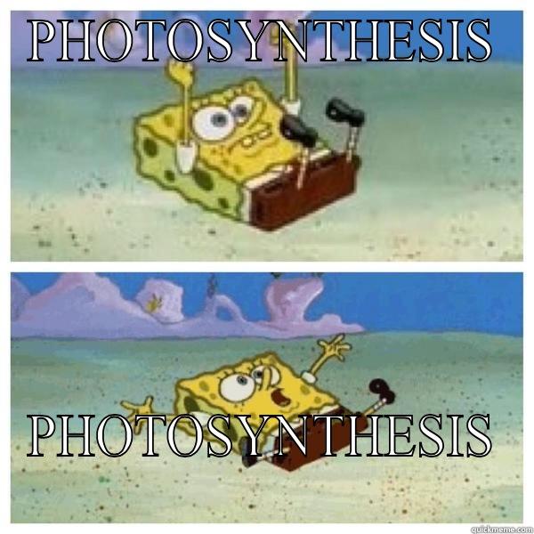 PHOTOSYNTHESIS PHOTOSYNTHESIS Misc