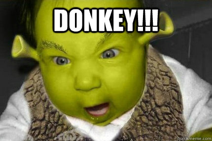 Donkey!!!   Shrek Baby