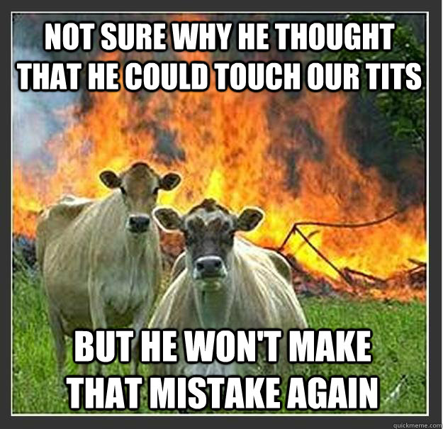 Not sure why he thought that he could touch our tits but he won't make that mistake again  Evil cows