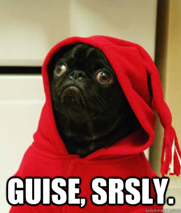  guise, srsly. -  guise, srsly.  Serious Pug