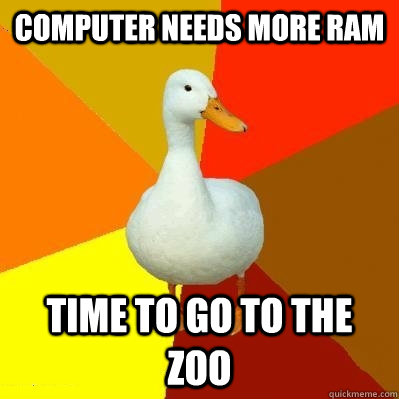 Computer needs more ram time to go to the zoo  Tech Impaired Duck