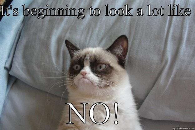 IT'S BEGINNING TO LOOK A LOT LIKE  NO! Grumpy Cat