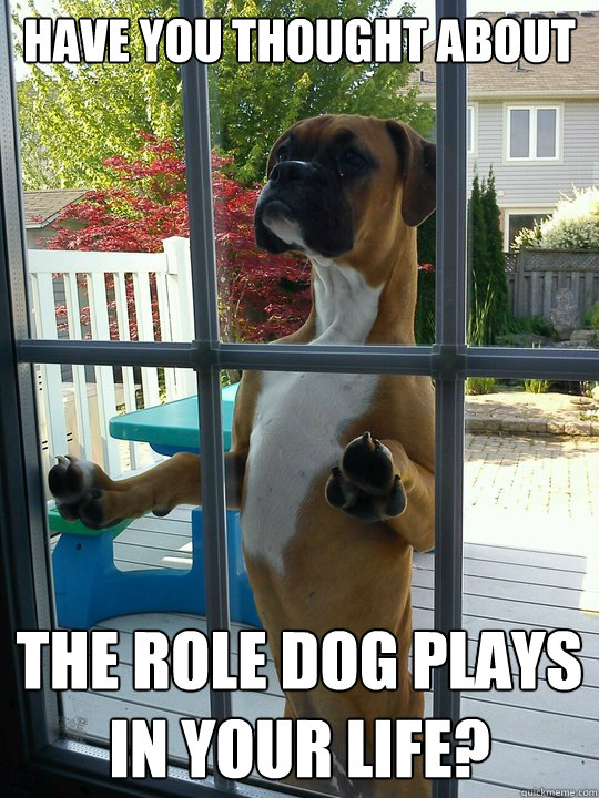 Have you thought about the role dog plays in your life?  