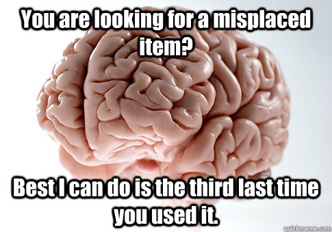 You are looking for a misplaced item? Best I can do is the third last time you used it.   Scumbag Brain