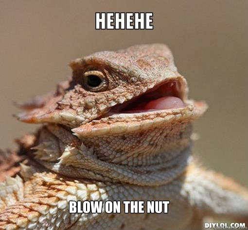 Blow on the nut - Blow on the nut  Hehehe lizard, im twelve.