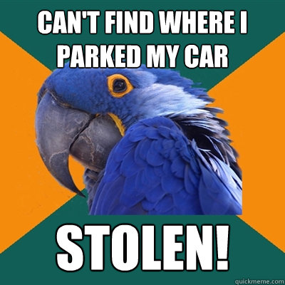 can't find where i parked my car stolen!  Paranoid Parrot