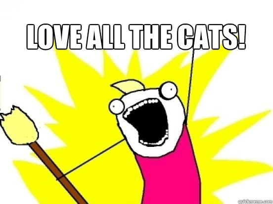Love ALL the cats!   X All The Things