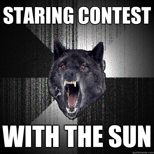 staring contest with the sun  Insanity Wolf