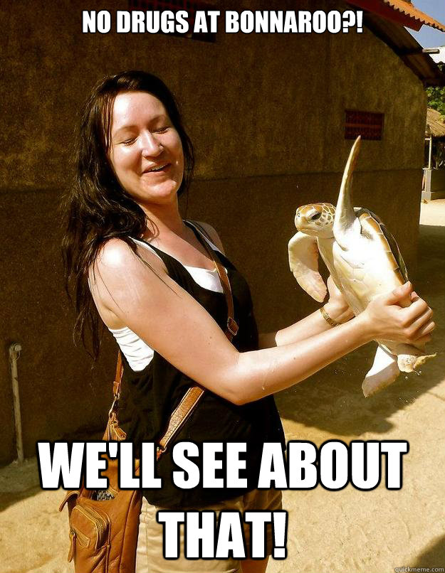 No drugs at Bonnaroo?! We'll see about that!  Domestic Violence Turtle