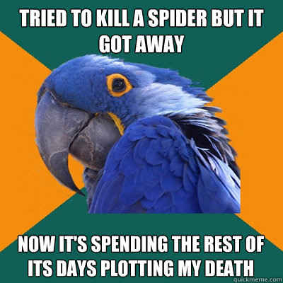 Tried to kill a spider but it got away Now it's spending the rest of its days plotting my death  Paranoid Parrot