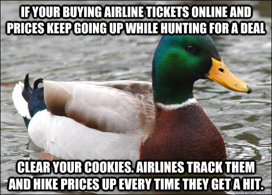 if your buying airline tickets online and prices keep going up while hunting for a deal clear your cookies. airlines track them and hike prices up every time they get a hit.  Actual Advice Mallard