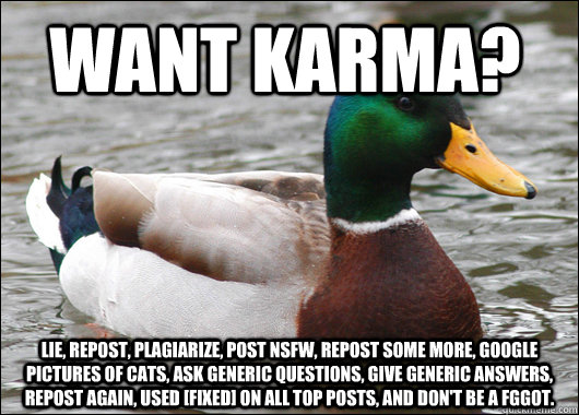 Want karma? Lie, repost, plagiarize, post NSFW, repost some more, Google pictures of cats, ask generic questions, give generic answers, repost again, used [Fixed] on all top posts, and don't be a fggot.  Actual Advice Mallard