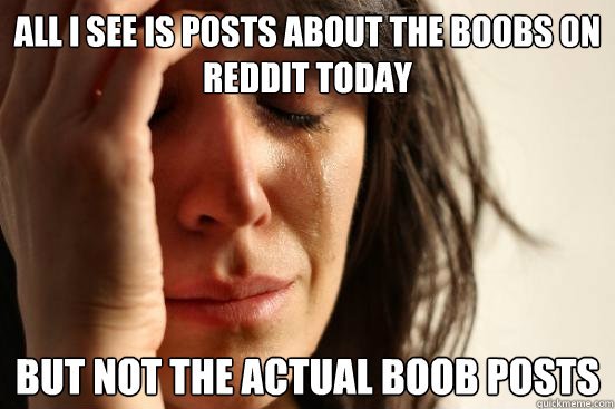 All i see is posts about the boobs on reddit today but not the actual boob posts  First World Problems