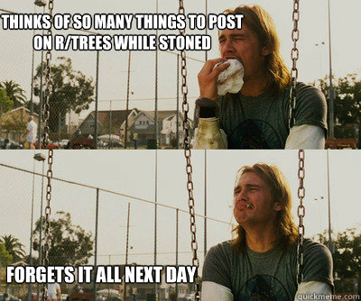 Thinks of so many things to post on r/trees while stoned Forgets it all next day   First World Stoner Problems