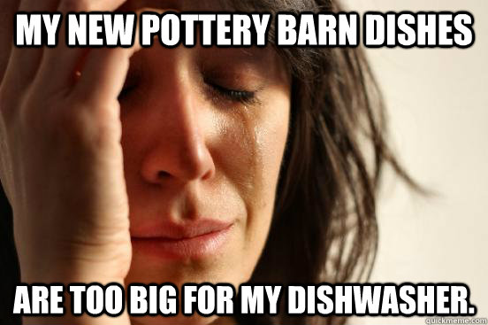 My new Pottery Barn dishes are too big for my dishwasher.  First World Problems