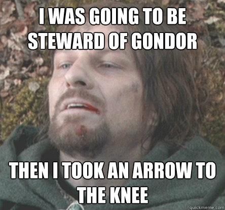 I was going to be steward of Gondor Then I took an arrow to the knee  