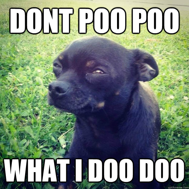 DONT POO POO WHAT I DOO DOO - DONT POO POO WHAT I DOO DOO  Skeptical Dog