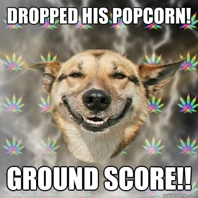 dropped his popcorn! GROUND SCORE!! - dropped his popcorn! GROUND SCORE!!  Stoner Dog