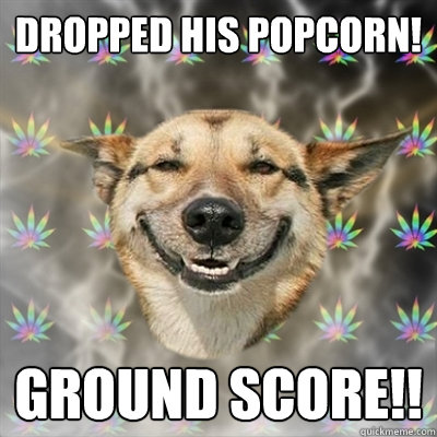 dropped his popcorn! GROUND SCORE!!  Stoner Dog