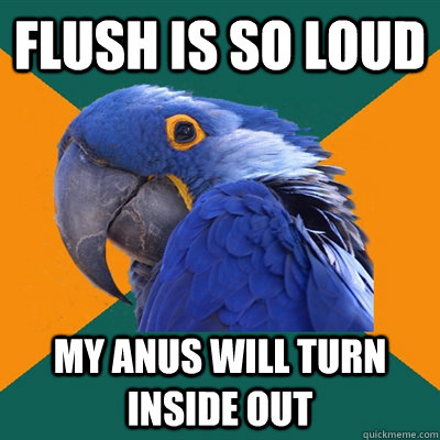 flush is so loud my anus will turn inside out  Paranoid Parrot