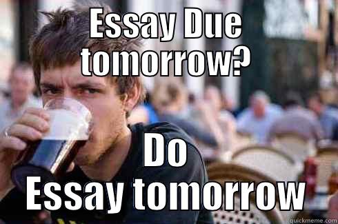ESSAY DUE TOMORROW? DO ESSAY TOMORROW Lazy College Senior