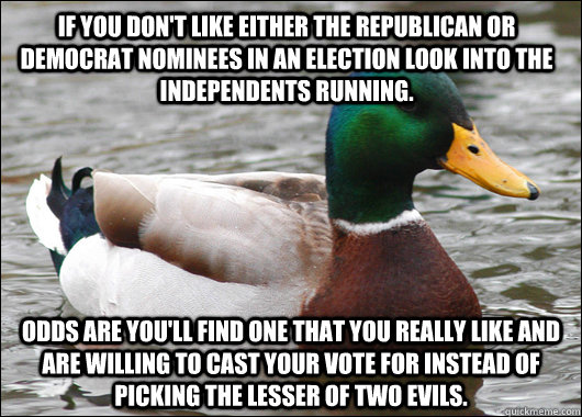 If you don't like either the Republican or Democrat nominees in an election look into the independents running. odds are you'll find one that you really like and are willing to cast your vote for instead of picking the lesser of two evils.  Actual Advice Mallard