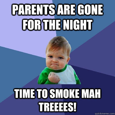 Parents are gone for the night TIME TO SMOKE MAH TREEEES! - Parents are gone for the night TIME TO SMOKE MAH TREEEES!  Success Kid
