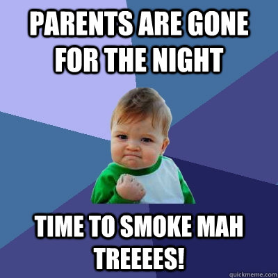 Parents are gone for the night TIME TO SMOKE MAH TREEEES!  Success Kid