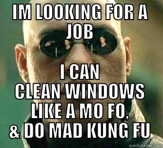 IM LOOKING FOR A JOB I CAN CLEAN WINDOWS LIKE A MO FO, & DO MAD KUNG FU Matrix Morpheus
