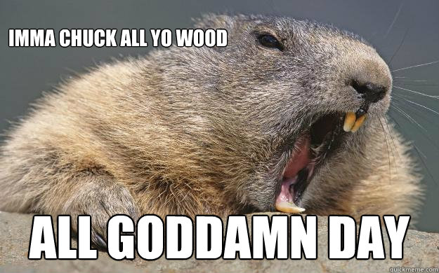 Imma chuck all yo wood ALL GODDAMN DAY  