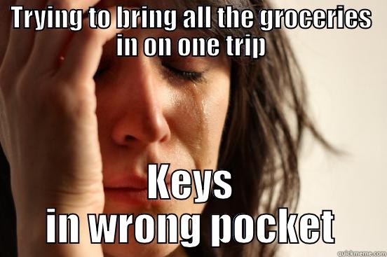 TRYING TO BRING ALL THE GROCERIES IN ON ONE TRIP KEYS IN WRONG POCKET First World Problems