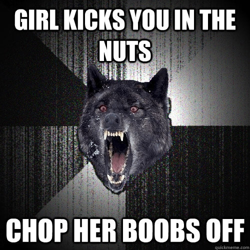 girl kicks you in the nuts chop her boobs off  Insanity Wolf
