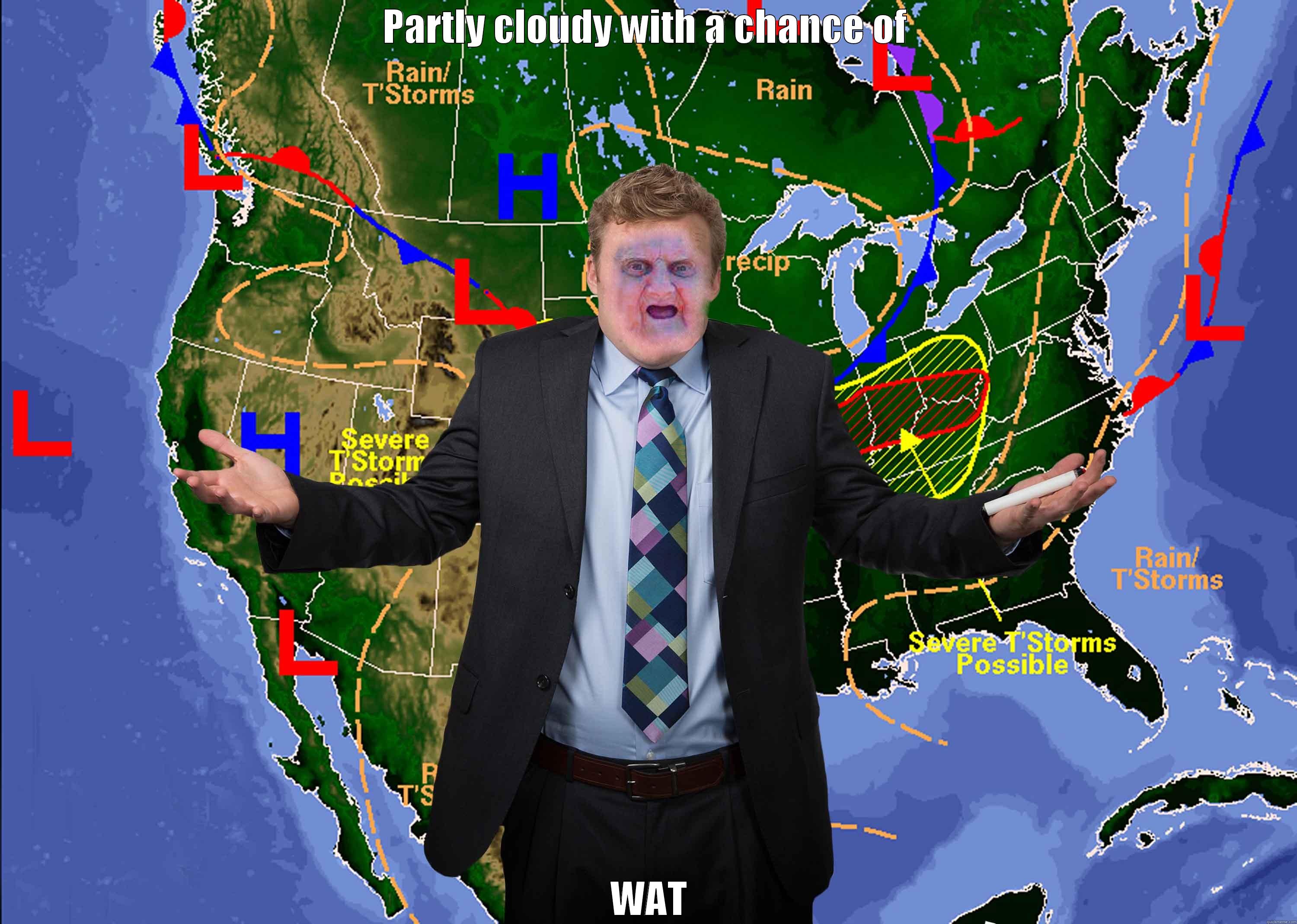PARTLY CLOUDY WITH A CHANCE OF  WAT Misc