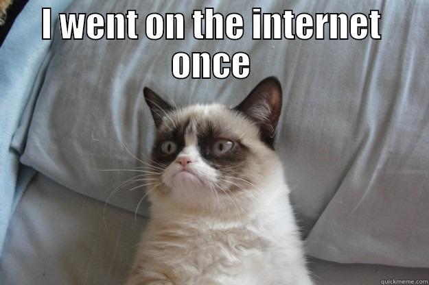 I WENT ON THE INTERNET ONCE  Grumpy Cat