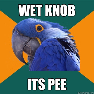wet knob its pee  Paranoid Parrot