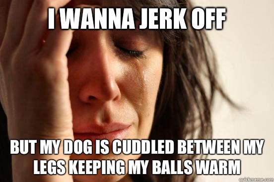 I wanna jerk off But my dog is cuddled between my legs keeping my balls warm  First World Problems