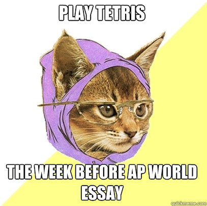PLAY TETRIS THE WEEK BEFORE AP WORLD ESSAY  Hipster Kitty
