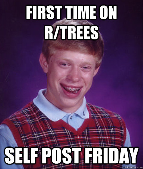 First Time On r/trees Self Post Friday - First Time On r/trees Self Post Friday  Bad Luck Brian