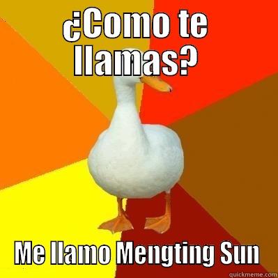 Andrea's meme - ¿COMO TE LLAMAS? ME LLAMO MENGTING SUN Tech Impaired Duck