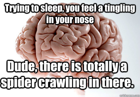 Trying to sleep, you feel a tingling in your nose Dude, there is totally a spider crawling in there.   Scumbag Brain