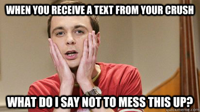 When you receive a text from your crush What do i say not to mess this up?  text from crush