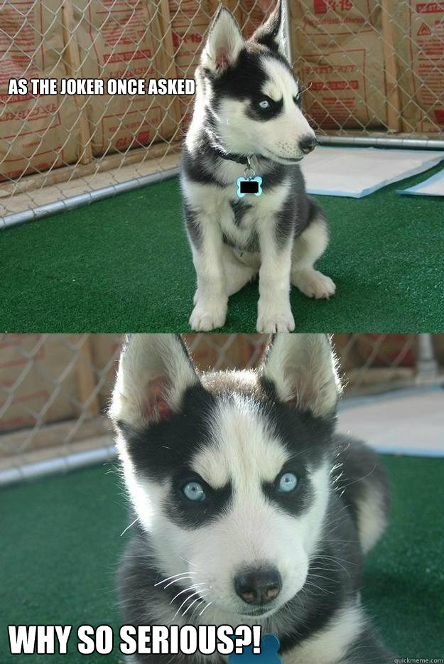 As the joker once asked Why so serious?!  Insanity puppy