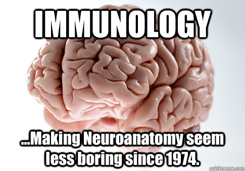 IMMUNOLOGY ...Making Neuroanatomy seem less boring since 1974.   Scumbag Brain