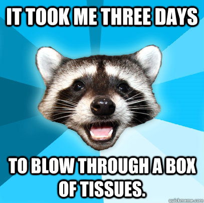 IT TOOK ME THREE DAYS TO BLOW THROUGH A BOX OF TISSUES.  Lame Pun Coon