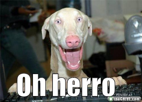  OH HERRO  Misc