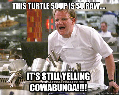 This Turtle soup is so raw.... it's still yelling cowabunga!!!!  Chef Ramsay