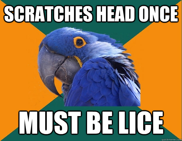 Scratches head once Must be lice  Paranoid Parrot