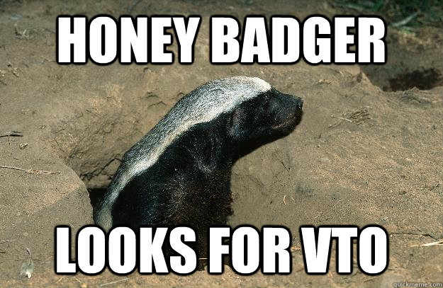 Honey Badger Looks for VTO  