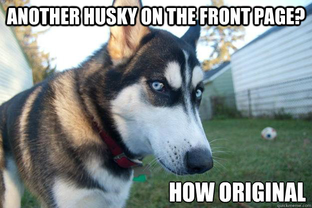 Another husky on the front page? How original - Another husky on the front page? How original  Misc
