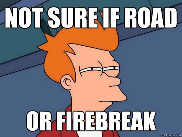 not sure if road or firebreak - not sure if road or firebreak  Futurama Fry